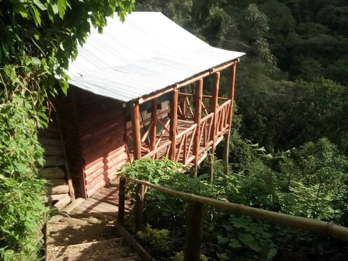 Ruhija Community Rest Camp Bed and Breakfast Kabale Esterno foto